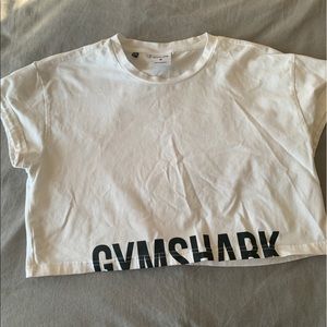 Gymshark Fraction Crop Top